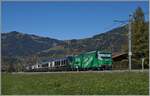 Kurz nach Gstaad ist die MOB Ge 4/4 8004  Swisstainable  mit dem GoldenPass Express PE 4069 auf der Fahrt von Interlaken Ost nach Montreux.
13. Oktober 2025 Kurz nach Gstaad ist die MOB Ge 4/4 8004  Swisstainable  mit dem GoldenPass Express PE 4069 auf der Fahrt von Interlaken Ost nach Montreux.
13. Oktober 2025