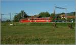 Der Nyon St-Cergue - Morez (NStCM) Regionalzug 215 beim Halt in Trlex.