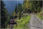 Begegnung beim wandern mit einem TMR Regionalzug zwischen Finhaut und Le Trétien.