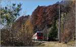 Und nun doch noch eine Gegenlichtbild von dieser Fotostelle: TMR RegionAlps RABe 525 041 (UIC 94 85 7525 041-0 CH-RA) ist von Orsière nach Sembrancher unterwegs und konnte vor Sembrancher bei