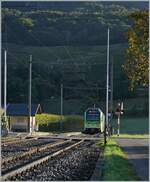 Licht- und Schattenspiel: aus dem schon sonnigen Rohnetal in Villy angekommen, verlässt  der TPC Beh 2/6 543  La Cathedral  nach dem kurzen Halt den Bahnhof, der noch etwas im Schatten der hohen