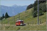 Fr das 125 Jahre Jubilum der Bex - Villars - Col-de-Bretaye Bahn (BVB) wurde der 1944 in Betrieb genommen Triebwagen BDeh 2/4 N 25 in der ursprnglichen BVB Farbgebung lackiert.