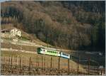 Während der BDe 4/4 403 bereits in den neuen TPC Farben lackiert ist, zeigt sich der (ex BTL) Bt 432 noch im gefälligen ASD Blau. Der Zug ist in den Weinbergen oberhalb von Aigle auf der Fahrt nach Les Diablerets.

4. Feb. 2011