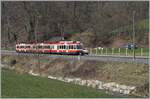 Ein Waldenburgerbahn Zug bestehend aus einem BDe 4/4 und zwei Bt bei Lampenberg-Ramlinsburg. Zur Zeit wird die 75 cm Spur Strecke auf Meterspur umgebaut. 

25. März 2021