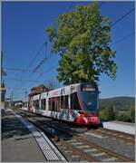 Aus der Grossstadt aufs Land - mit der BLT: Von Basel bzw. wohl Dornach kommend hat ein BLT Zug der Linie 10 das im Elsass gelegene Leymen erreicht und wird nach der Kreuzung mit dem Gegenzug nach Rodersdorf im Kanton Solothurn weiterfahren.

26. Sept. 2023