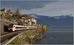 Ein Regionalzug bestehend aus dem SBB RABe 523 104 und einem weiteren Flirt RABe 523.0 ist bei St-Saphorin auf der Fahrt in Richtung Aigle.