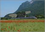 100-lausanne-brig-rhonetalstrecke/433200/zwischen-yvorne-und-rochers-vd-faehrt Zwischen Yvorne und Rochers VD fährt eine SBB ETR 610 als EC 32 Richtung Genève. 
27. Mai 2015