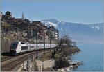 Internationaler Verkehr am Genfersee bei St-Saphorin: Mit offener Schnauze fährt ein TGV Lyria als TGV de Neige von Paris Richtung Brig.