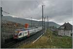 Der Bahnhof Cully wird umgebaut. Das Bild entstand kurz vor Beginn der Arbeiten an den Gleisanlagen und zeigt einen in Cully einfahrenden SBB RABe 511 auf dem Weg in Richtung Vevey. 

3. Aug. 2020
