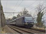 Hier noch ein Bild der BLS Re 465 018 mit einem IR Brig - Genève Aéroport bei Veytaux-Chillon, wobei das schöne Schloss nur Ansatzweise im Hintergrund zu erkennen ist. Der kurze Einsatz der BLS Re 465 war im übrigen der letzte Einsatz der Lok im hochwertgien Reisezugverkehr. 27. Dezember 2008