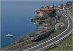 Blick auf Rivaz mit einem SBB RABe 523 auf dem Weg in Richtung Aigle.