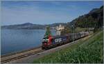 An bekannter Fotostelle bei Villeneuve mit dem Ch�teau de Chillon im Hintergrund f�hrt die von SBB Cargo angemietete 193 062 (UIC 91 80 6193 062-7 D-RCM) mit einem kurzen G�terzug in Richtung Wallis. 

2. September 2026