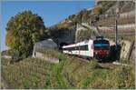 Der SBB RBDe 560 210  Domino  (RBDe 560 DO 94 85 7 210-7 CH-SBB) ist auf der Train de Vignes Strecke auf der Fahrt von Puidoux nach Vevey  und soeben den nur 20 Meter langen Salanfe Tunnel oberhalb