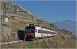 Als R 7 24749 ist ein SBB Domino mit dem RBDe RBDe 560 210 (UIC RBDe 560 DO 94 85 7 560 210-7 CH-SBB) oberhalb von St-Saphorin auf dem von Puidoux nach Vevey.