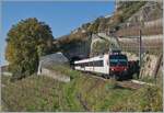 Kurz nachdem Verlassen des 20 Meter langen Salanfe Tunnel oberhalb von St-Saphorin ist der SBB RBDe 560 210 (UIC RBDe 560 DO 94 85 7 560 210-7 CH-SBB) als R 7 24749 auf dem Weg von Puidoux nach Vevey. 

15. Nov. 2024