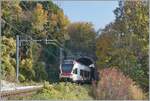 Mit herbstlichen Farben wunderschön eingerahmt zeigt sich hier das Westportal das Salanfe Tunnel mit dem SBB RABe 523 028 auf der Fahrt nach Vevey.
Fazit: Schön, das Westportal gesehen zu haben, aber für die Bahnfotografie eignet ich das Ostportal doch besser...
 
16. Nov. 2024  