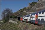 Von den vielen Tunneln in der Schweiz ist der Salanfe Tunnel auf der  Train de Vignes -Strecke wohl einer der unbedeutendsten, zudem er nur zwanzig Meter lang ist. Trotzdem eignet er sich für die Bahnfotografie als Motiv recht gut insbesondere da er leicht zu erreichen ist und doch ein reicht schönes Ostportal aufweist, welche hier bei der vorbeifahrt eines ein Baustellenbedingt umgeleitet IR recht schön im Sonnenlicht zu sehen ist. 
Aber das Westportal? 
Davon gibt es kaum Bilder. Also reifte in mir der Gedanke, das Westportal des Tunnels zu erkunden...


20. März 2022 