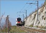 Kurz darauf, nun nicht mehr bildfüllend, ist SBB RABe 523 028-4 (RABe 523 94 85 0 523 028-4 CH-SBB) als R7 auf der Train des Vignes Strecke nach dem Salanfe Tunnel auf dem Weg nach Puidoux. 

16. Nov. 2024