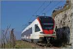 Eine Stunde später ist der SBB RABe 523 028-4 (RABe 523 94 85 0 523 028-4 CH-SBB) erneut  als R7 auf der Train des Vignes Strecke kurz nach dem Salanfe Tunnel auf dem Weg nach Puidoux. 

16. Nov. 2024