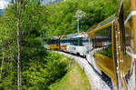 Ein Blick aus unserem Goldenpass-Panoramic-Express  gezogen von der MOB Ge 4/4 8001, hier am 28 Mai 2012 kurz vor Rougemont.