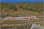 Ein TMR Region Alpes RABe 525 in den noch überraschend bunten Weinreben bei Bovernier 

6. Nov. 2020