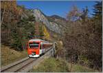 Der TMR Region Alps RABe 525 041 (UIC 94 85 7525 041-0 CH-RA) ist auf dem Weg nach Orsières und hat vor kurzem Sembrancher verlassen.

6. Nov. 2020