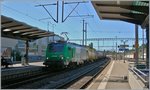 Die SNCF BB 37 060 mit ihrem Güterzug von Lyon nach Lausanne Triage bei seiner Durchfahrt in Morges.