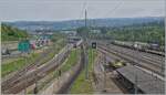 Ebenfalls eine interessante Wahl der Fahrstrecken zeigen diese beiden SBB RABe 502 Twindexx als IC 1 von St.Gallen nach Gen�ve A�roport im Bereich von Lausanne Triage.