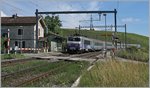 Die SNCF BB 22316 schiebt ihre TER von Lyon bei Russin Richtung Genüve. 
20. Juni 2016