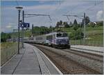 Und als drittes und letztes Beispiel: die Strecke Genève - La Plaine hier bei Russin mit der SNCF BB 22396 mit ihrem TER 96504 von Lyon nach Genève.