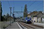 151-genve-8211-la-plaine/745477/mit-dem-steuerwagen-voraus-faerht-eine Mit dem Steuerwagen voraus färht eine SNCF TER von Lyon nach Genève durch den Bahnhof Sataigny. 

19. Juli 2021