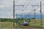 151-genve-8211-la-plaine/761293/an-praktisch-derselben-stelle-zwischen-russin An praktisch derselben Stelle zwischen Russin und Satigny zeigte sich einige Jahre vorher die SNCF BB 25259 ebenfalls mit einem TER von Lyon nach Genève. Damals war die Strecke noch mit Gleichstrom elektrifiziert und mit SNCF Signalen ausgestattet. 

21. Juni 2010