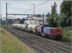 Auf den ersten Blick scheint der Abschnitt Vernier - Vernier Meryrin Cargo Dreispurig ausgebaut zu sein, in Wirklichkeit f�hrt die SBB Cargo Mak Am 843 069  (Am 98 85 5 843 069-6 CH-SBBC) mit ihren