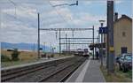 Die beiden SBB RABe 523 027 und 059 erreichen als RER Vallorbe - Villeneuve den Halt Arnex.

14. Juli 2020