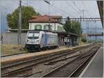Die an die BLS vermietete RailPool 187 008-8 wartet in Chavornay auf ihre Güterlast. 

15. August 2022 