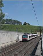 Ein SBB Domino ist als R13 von Yverdon nach Biel/Bienne unterwegs und hat soeben den Halt Concise verlassen. Die hier zu sehende Doppelspurige Streckenführung löste am 20. April die ursprüngliche Einspurstrecke von 7. Nov. 1859 ab. 

5. Juli 2025