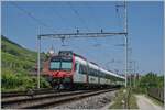 Ein SBB RBDe 560 Domino verl�sst kurz vor Ligerz bei Kilometer 93.6 die Doppelsurstrecke und f�hrt auf dem letzten Einspurabschnitt bis Twann, wo die Strecke wieder doppelspurig verl�uft und der