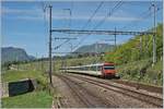 221-neuchtel-8211-pontarlierbuttes/691931/ein-re-von-frasne-nach-neuch226tel Ein RE von Frasne nach Neuchâtel erreicht Auvernier. 

16. Mai 2017