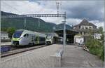 In Grenchen Nord kreuzen sich der BLS MIKA RABe 528 109 als IR 1869 von Biel/Bienne nach Basel und der BLS MIKA RABe 528 134 als IR 1868 auf der Fahrt von Basel SBB nach Biel/Bienne.