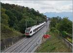 Dem Publikum als  Sommerfahrplan  schmachhaft gemacht wurde unter anderem auch die Strecke Lausanne - Bern zwischen Lausanne und Puidoux gesperrt und gesamthaft erneuert, mit dem Resultat, dass