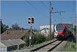 Der TPF RABe 526 197 auf dem Weg von (Fribourg) - Murten nach Neuchâtel kurz nach der Haltestelle Zielbrücke.