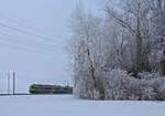 Ein kalter Tag an der Bahnlinie Bern-Thun: BLS NPZ verschwindet hinter den gefrorenen Bäumen.