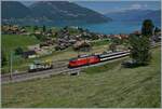 Bei Faulensee ist eine SBB Re 460 mit ihrem IC auf dem weg nach Spiez. Neben der schönen Landschaft ist auch BLS Tm 234 zu erkennen, der hier rangiert. 

14. Juni 2021