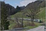 Ein BLS RE von Interlaken nach Zweisimmen bei der Durchfahrt in Enge im Simmental. 

14. April 2021