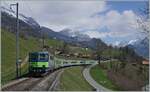 Die BLS Re 4/4 II 501 mit dem RE 4068 von Zweisimmen nach Interlaken Ost bei Enge im Simmental. 

14. April 2021 