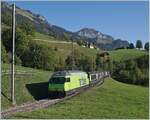  Die BLS Re 465 002 ist mit dem GoldenPass Express 4065 von Interlaken nach Montreux bei Enge im Simmental auf dem Weg nach Zweisimmen, wo der Zug dann umgespurt nach Montreux weiter fahren wird.

7. Oktober 2023