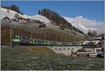 Die BLS Re 4/4 501 ist mit ihrem RE aus EW III bei Garstatt auf dem Weg von Interlaken Ost nach Zweisimmen.