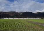 Ein bisschen Juras�dfuss.

RABDe 500 021 'Jeremias Gotthelf' bei Grenchen. November 2023.