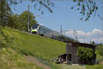 Freundlicherweise bremste RABe 528 124 den Dampfzug aus. Denn sonntags bei schönem Wetter ist Vorwärtskommen auf der engen  Rad- und Pedelec-Rennbahn  eher mäßig möglich. Trimstein, Mai 2025.