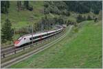 Die Eile war vergeblich - noch bis im September werden die Giruno Züge mehrheitlich den Weg via die Gotthard Panorama Strecke nehmen, was neben dem Vorteil der schönen Aussicht welche den Reisenden geboten wird auch eine gewisse Entspannung in den Terminkalender der Bahnfotografen ergibt. 

Der SBB Giruno RABe 501 014  Bern  ist in der bekannten Wattingerkurfe als EC von Milano nach Zürich unterwegs. 

19. Okt 2023